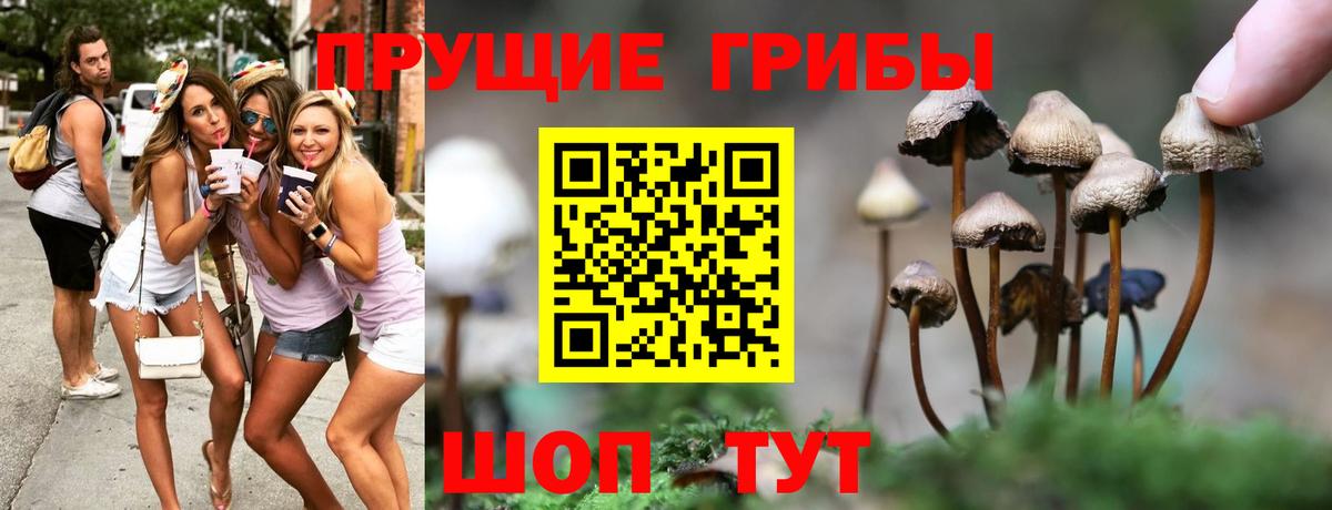 Псилоцибиновые грибы ЛСД  Вход с VPN  Ахтубинск 