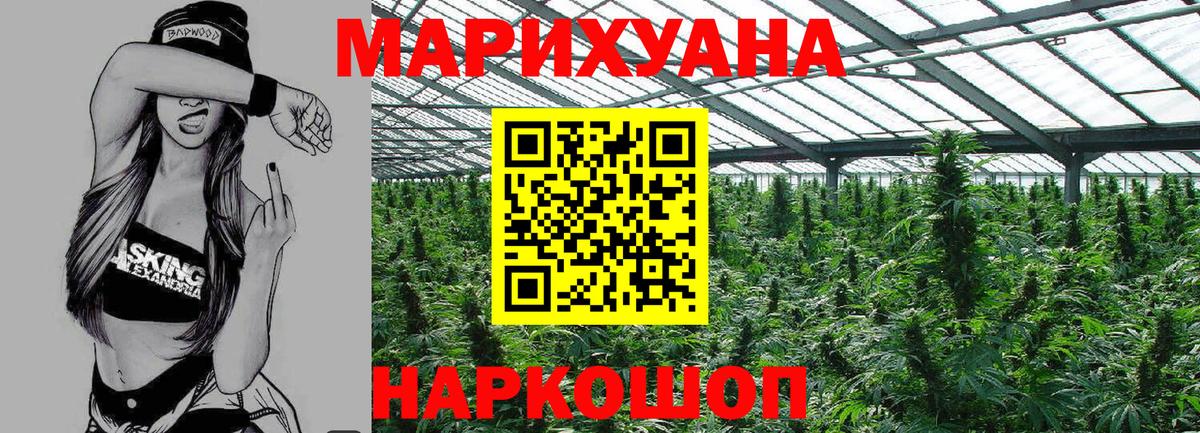 Бошки марихуана THC 21% Ахтубинск